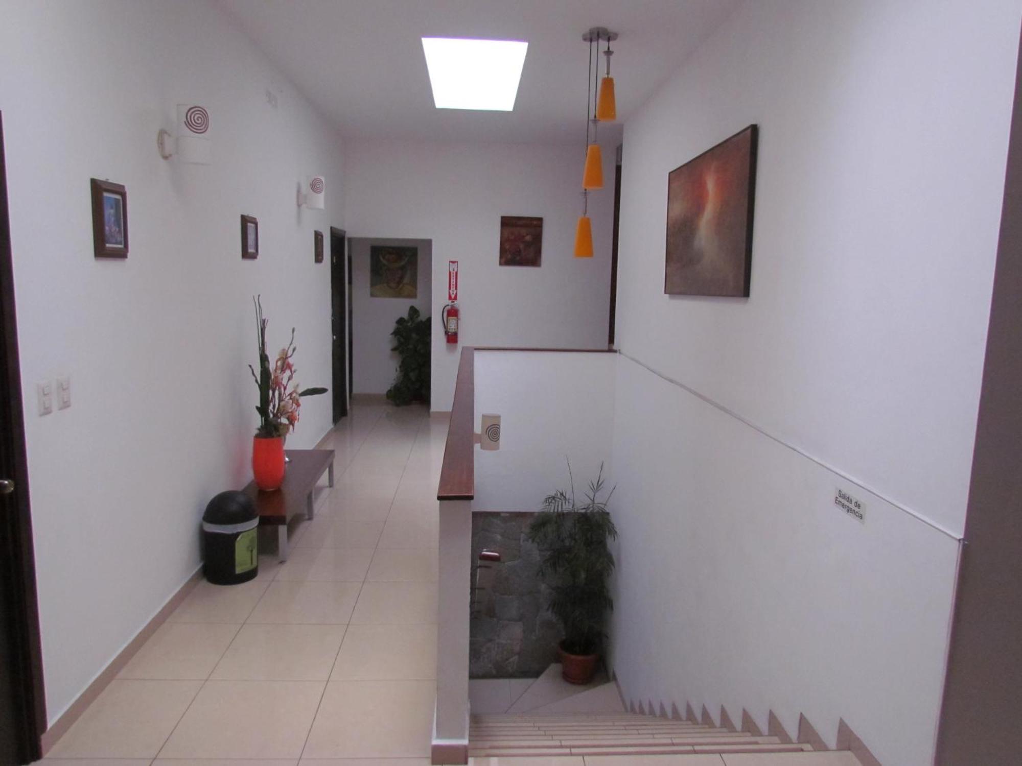 Hotel Arbol De Suenos سان سلفادور المظهر الخارجي الصورة
